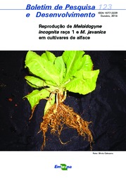 Thumbnail de Reprodução de Meloidogyne incognita raça 1 e M. javanica em cultivares de alface.