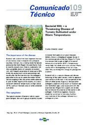 Thumbnail de Bacterial Wilt: a threatening disease of tomato cultivated under warm temperatures.