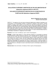 Thumbnail de Evaluation of different substrates on the acclimatization of Epidendrum ibaguense KUNTH plantlets.