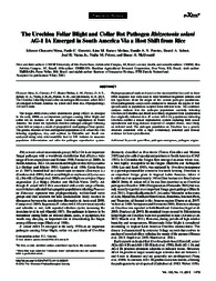 Thumbnail de The Urochloa foliar blight and collar rot pathogen Rhizoctonia solani AG-1 IA emerged in South America via a host shift from rice.