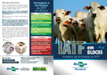 Thumbnail de IATF em blocos: aumento da fertilidade na IATF.