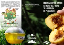 Thumbnail de MONITORAMENTO e controle da mosca-das-frutas sul-americana em pessegueiro.