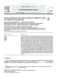 Thumbnail de Uterine inflammation and fertility of beef cows subjected to timed AI at different days postpartum.