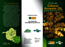 Thumbnail de Cultivar Catucaí Amarelo 2SL: extensão de recomendação para cultivo em Rondônia.