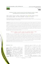 Thumbnail de Selection of Coffea canephora parents from the botanical varieties Conilon and Robusta for the production of intervarietal hybrids.