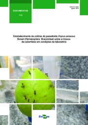 Thumbnail de Estabelecimento de colônia do parasitoide Fopius arisanus Sonan (Hymenoptera: Braconidae) sobre a mosca-da-carambola em condições de laboratório.