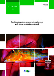 Thumbnail de Espécies de peixes ornamentais capturados pela pesca no estado do Amapá.