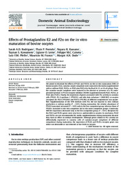 Thumbnail de Effects of Prostaglandins E2 and F2alpha on the in vitro maturation of bovine oocytes.