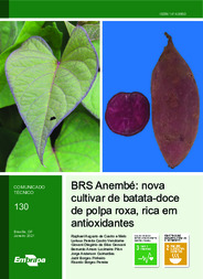 Thumbnail de BRS Anembé: nova cultivar de batata-doce de polpa roxa, rica em antioxidantes.