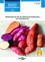 Thumbnail de Rendimento de raiz de cultivares de batata-doce em Canoinhas-SC.