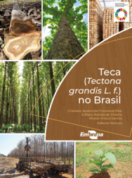 Thumbnail de Teca (Tectona grandis L. f.) no Brasil.