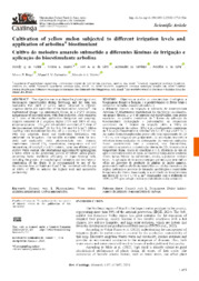 Thumbnail de Cultivation of yellow melon subjected to different irrigation levels and application of arbolina biostimulant.