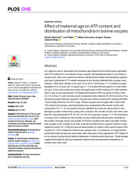 Thumbnail de Effect of maternal age on ATP content and distribution of mitochondria in bovine oocytes.