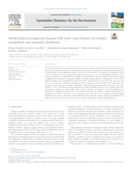 Thumbnail de Autohydrolysis of sugarcane bagasse with water reuse: Impacts on residues’ composition and enzymatic hydrolysis.