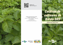 Thumbnail de CATÁLOGO de cultivares de batata BRS: batatas brancas.