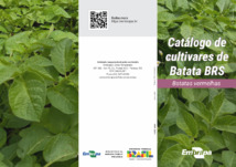 Thumbnail de CATÁ?LOGO de cultivares de batata BRS: batatas vermelhas.