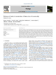 Thumbnail de Evidence of vertical transmission of Senecavirus A in naturally infected sows.