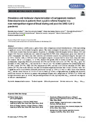 Thumbnail de Prevalence and molecular characterization of carbapenem-resistant Enterobacterales in patients from a public referral hospital in a non-metropolitan region of Brazil during and post the SARS-CoV-2 pandemic.