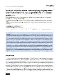 Thumbnail de Horticultural performance and huanglongbing impact on rainfed Valencia sweet orange grafted onto 16 rootstock genotypes.