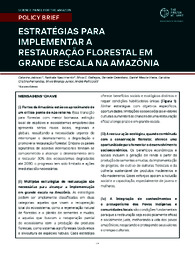 Thumbnail de Estratégias para implementar a restauração florestal em grande escala na Amazônia.