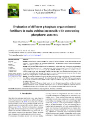 Thumbnail de Evaluation of different phosphate organomineral fertilizers in maize cultivation on soils with contrasting phosphorus contents.