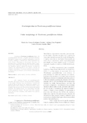 Thumbnail de Morfologia foliar de Theobroma grandiflorum Schum.