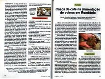 Thumbnail de Casca de café na alimentação de ovinos em Rondônia.