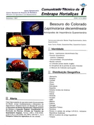 Thumbnail de Besouro do colorado Leptinotarsa decimlineata: artropodes de importancia quarentenaria.