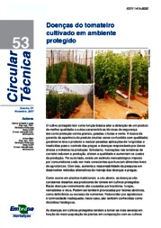 Thumbnail de Doenças do tomateiro cultivado em ambiente protegido.