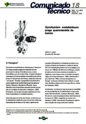 Thumbnail de Synchytrium endobioticum: praga quarentenária da batata.