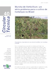 Thumbnail de Murcha-de-verticillium: um sério problema para o cultivo de hortaliças no Brasil.