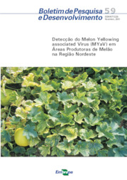 Thumbnail de Detecção do melon yellowing associated virus (MYaV) em áreas produtoras de melão na Região Nordeste.