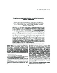 Thumbnail de Anaplasma marginale infection in cattle from south-western Amazonia.