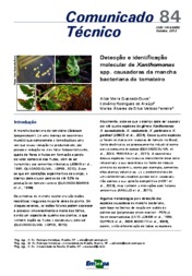 Thumbnail de Detecção e identificação molecular de Xanthomonas spp. causadoras da mancha bacteriana do tomateiro.