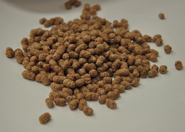 Image of Gluten-free wholegrain sorghum breakfast cereal