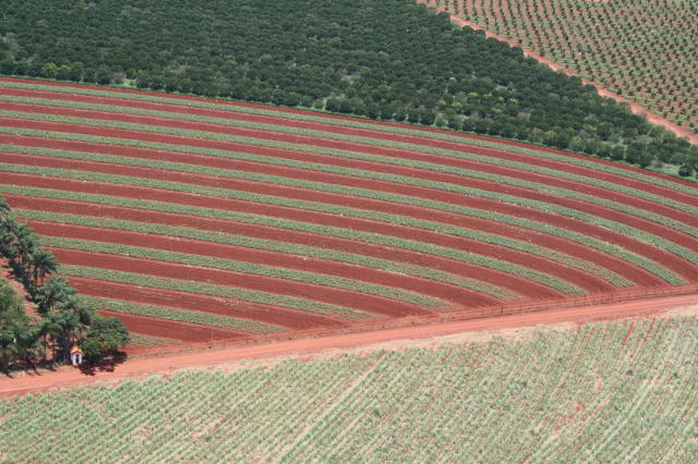 Image of Recuperação dos recursos hídricos impactados em áreas agrícolas