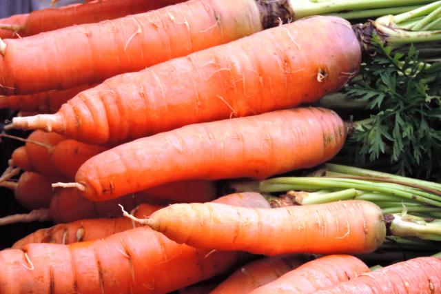 Image of Uso de cobertura morta para cultivo de alface, cenoura e cebola sob manejo orgânico de produção