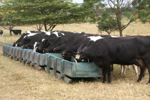 Image of Cocho trenó para alimentação de bovinos