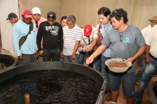 Imagem de Capacitação continuada em piscicultura de água doce no Sudeste do Tocantins