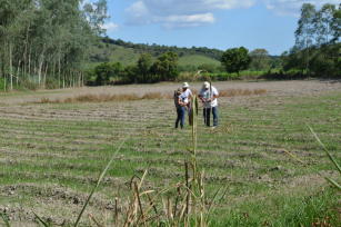 Imagem de Monitoramento participativo da resiliência de uma paisagem agrícola e o papel de práticas agroecológicas na conservação da biodiversidade