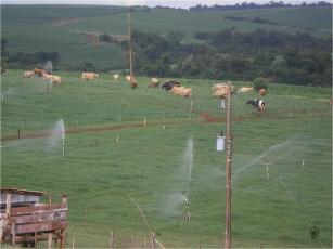 Imagem de Uso da irrigação para produção de leite em pastagens cultivadas no Rio Grande do Sul