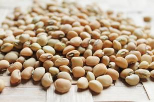 Image of BRS Rouxinol cowpeas