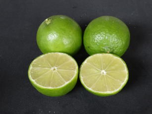 Image of Tahiti acid lime BRS EECB IAC Ponta Firme