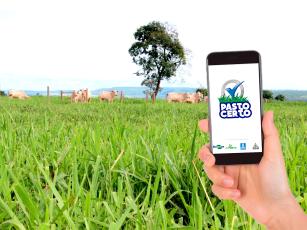 Image of Pasto Certo - version 2.0 - App on tropical forages for mobile devices