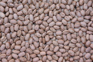 Image of Beans - BRS FC310