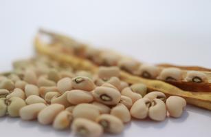 Image of BRS Utinga - white cowpeas