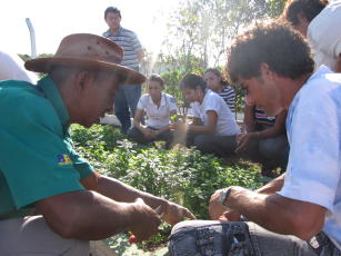 Imagem de Proposições sociotécnicas para o fortalecimento da agricultura urbana na cidade do Rio de Janeiro