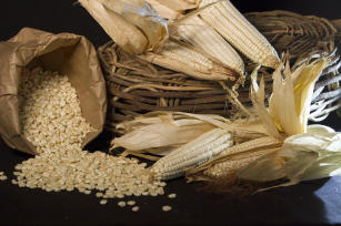 Image of White flour corn BRS 015