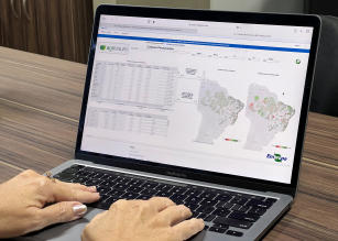 Image of Agrivisum - Information system on Brazilian agricultural and livestock trends