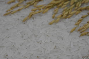 Image of Arroz - BRS A709